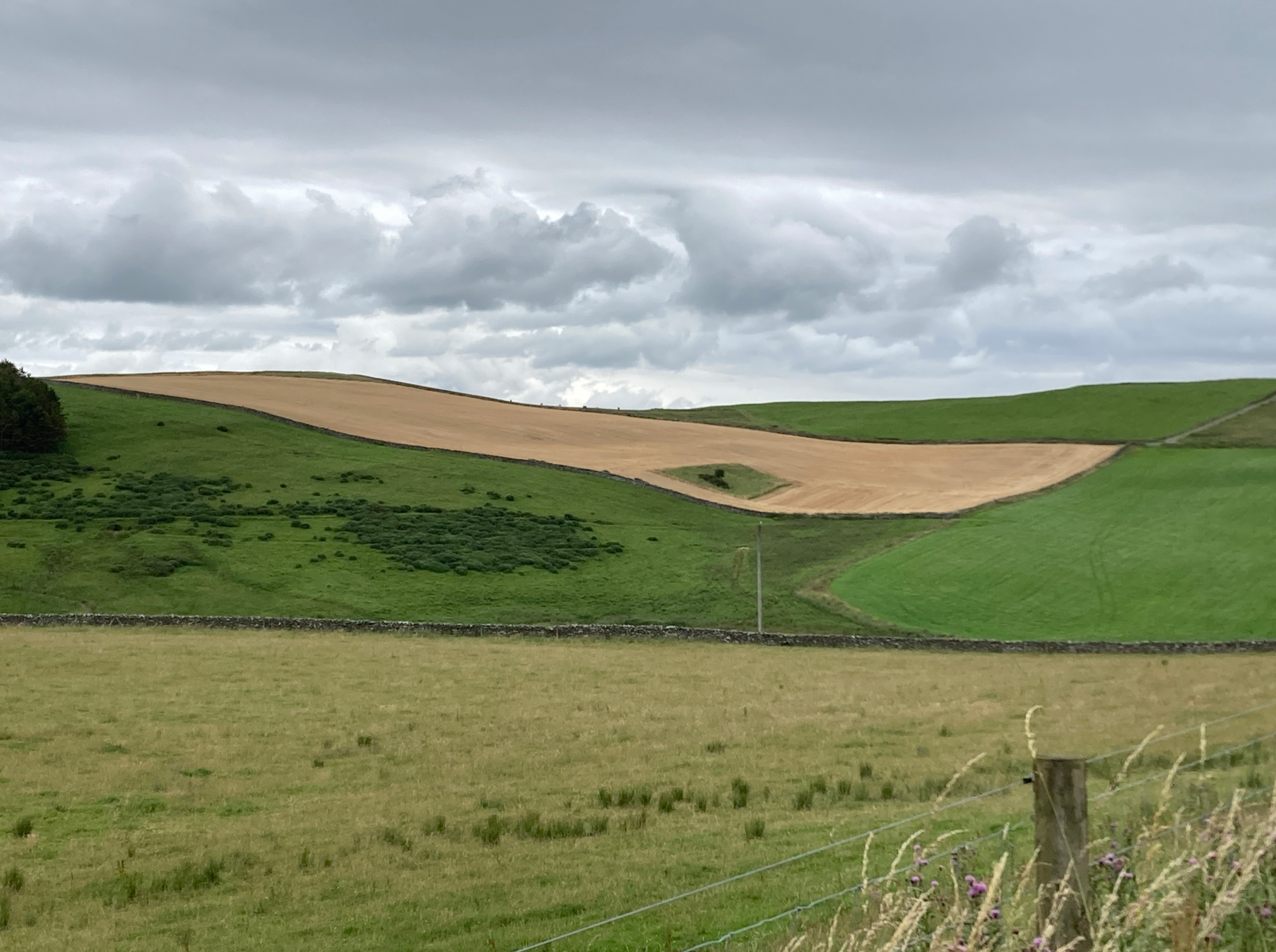 Screenshot 2025-09-03 at 00.54.12.png