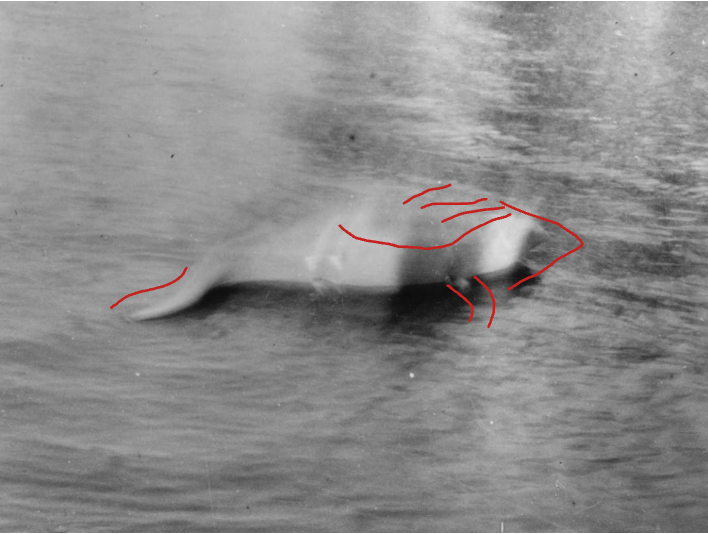 Screenshot 2025-09-07 8.29.57 AM.png