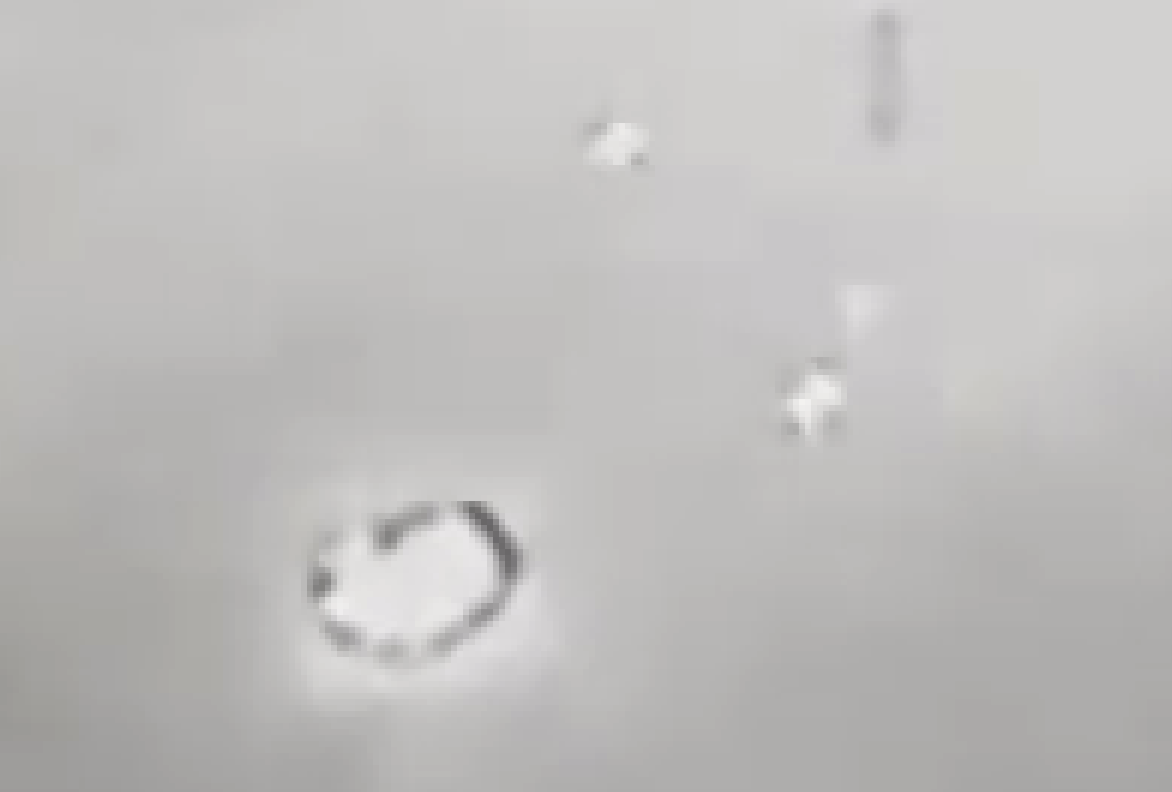 Screenshot 2025-09-10 at 12.27.51 PM.png