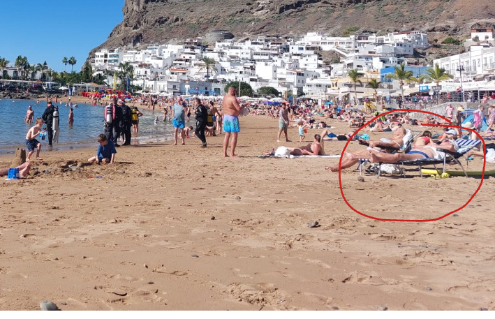 Screenshot 2025-12-24 8.43.42 AM.png