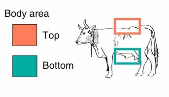 Screenshot 2026-01-20 213025.jpg