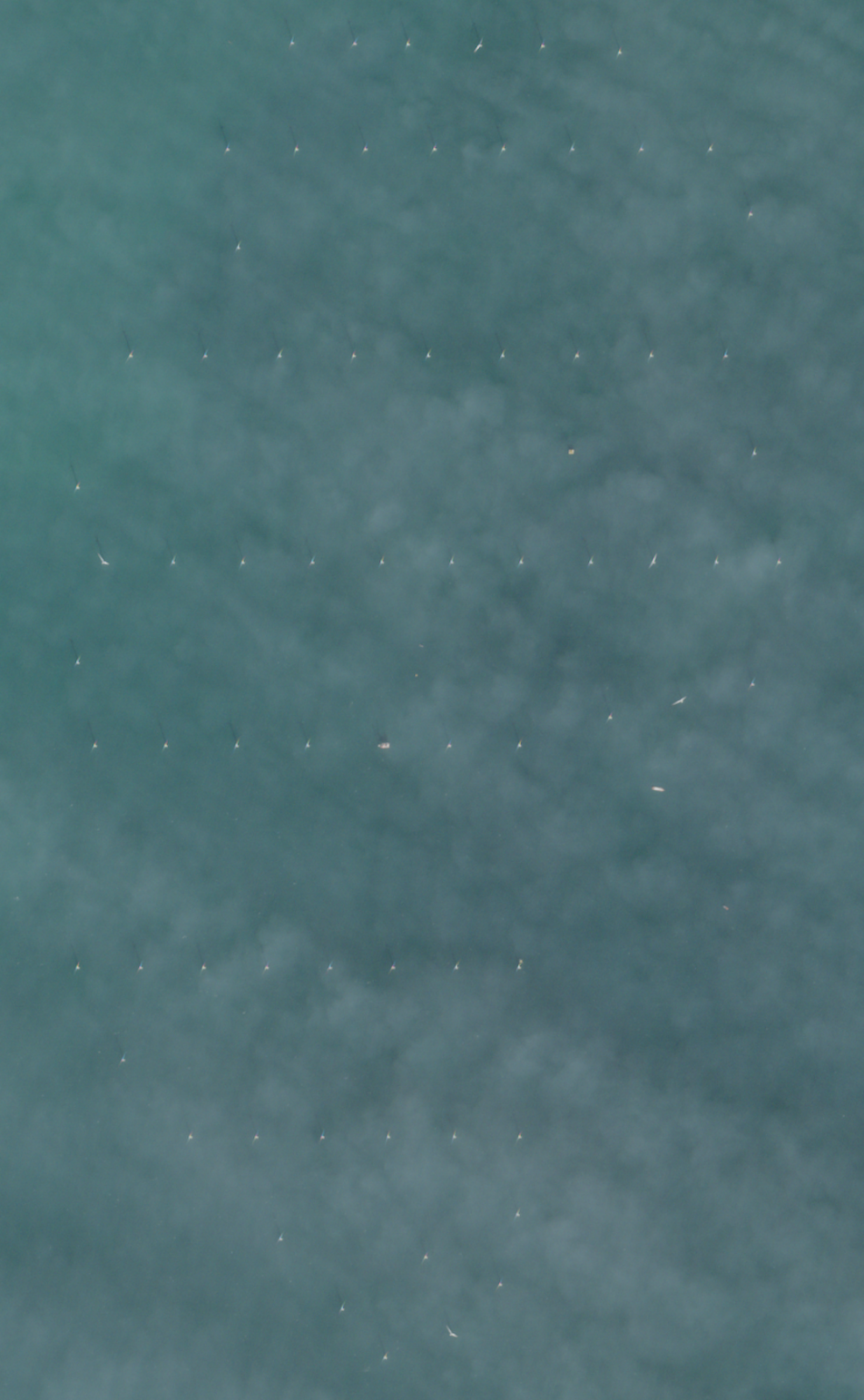 Screenshot 2026-05-18 at 10.39.18.png