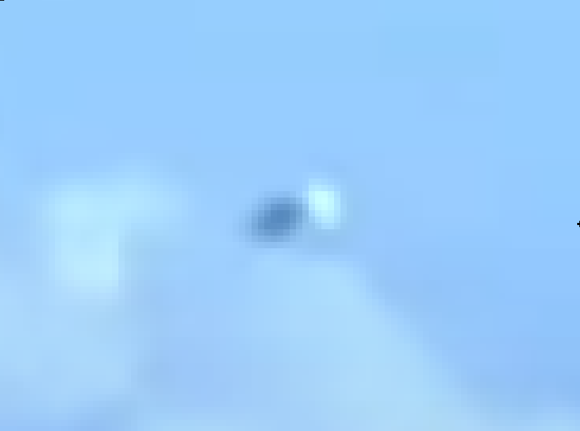 seagull1zoomed.png