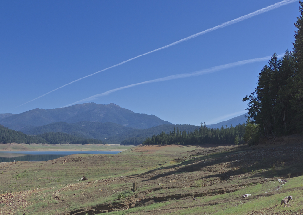 Shasta Chemtrails r.jpg