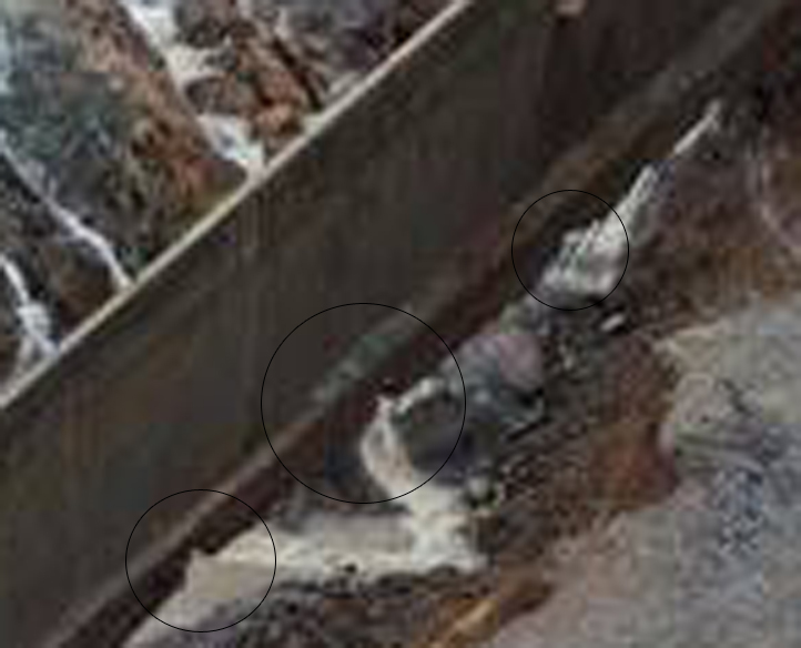 side wall spillway max zoom for res1.jpg
