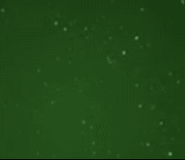 SmartSelect_20211013-140814_Samsung Internet.gif