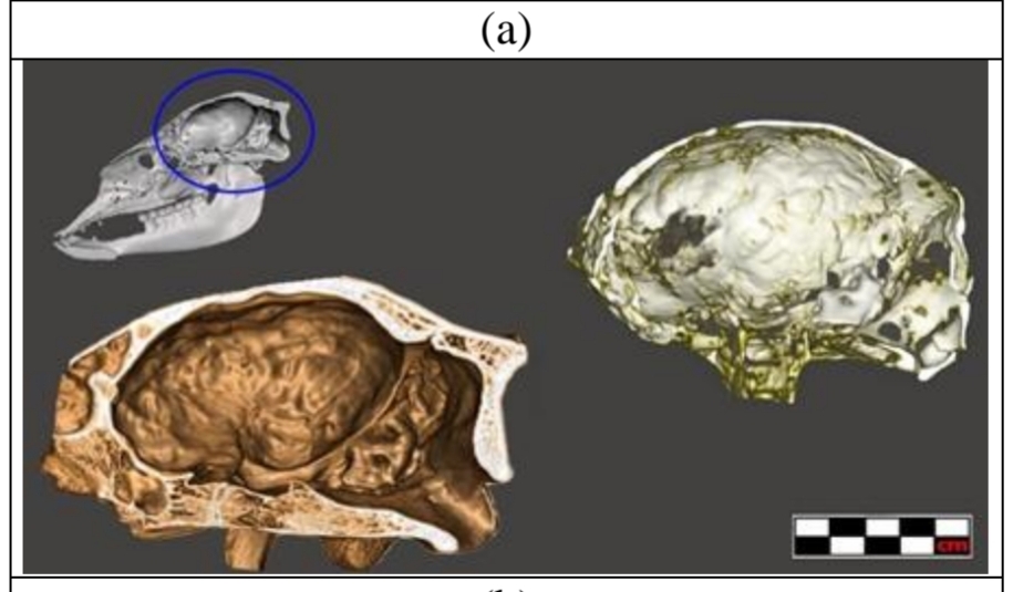 SmartSelect_20231025-105851_Samsung Notes.jpg