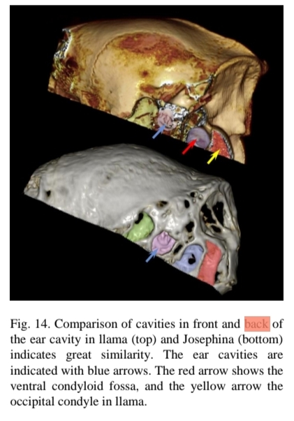 SmartSelect_20231025-120044_Samsung Notes.jpg
