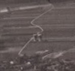 SmartSelect_20250819-202246_Samsung Internet.jpg