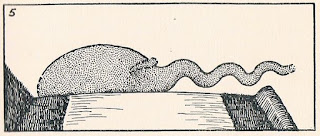 Spicers - Gould Version.JPG