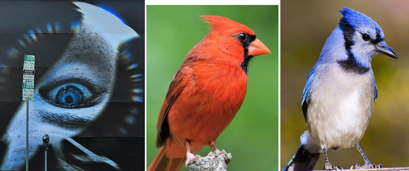 splbrg cdnl bljy.jpg