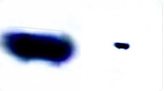 Claim: Navy FLIR1 video seems to show Tic Tac antennas | Metabunk