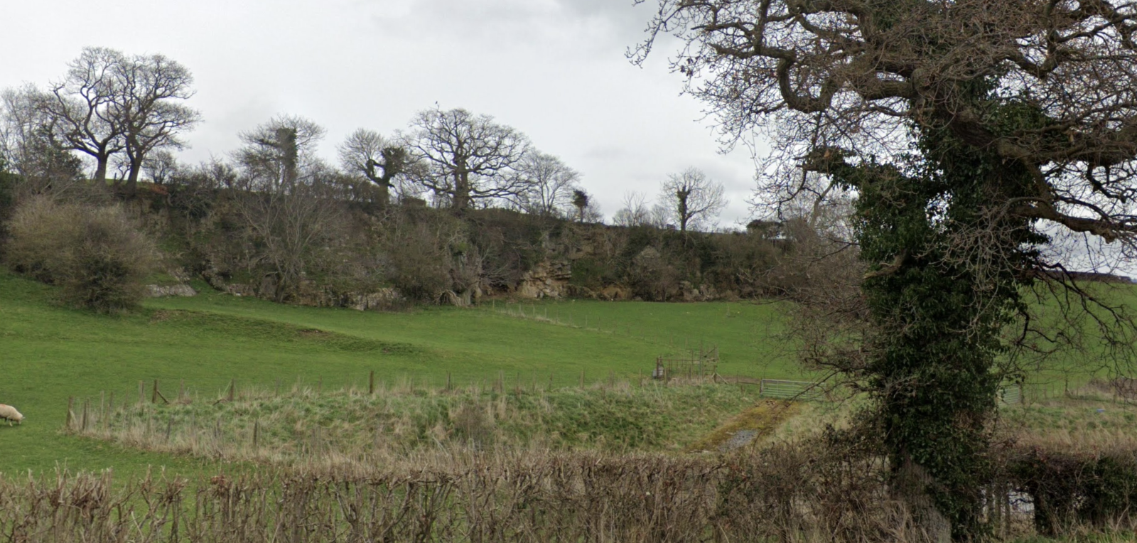 Tree line in LOS (raised elevation).png