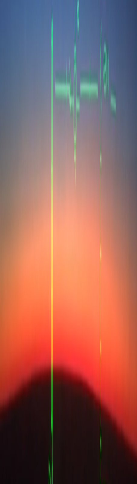 wolfie window shot.jpg