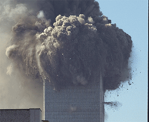 wtc1-all-clipped-enhanced-25pct-section.gif