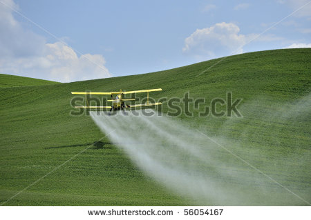 5897ba0f625a22097f73d478d371c5ff.jpg