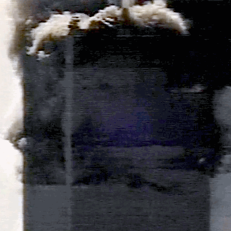 655bff3aa1224da7e9c0dd76a2e5200c.gif