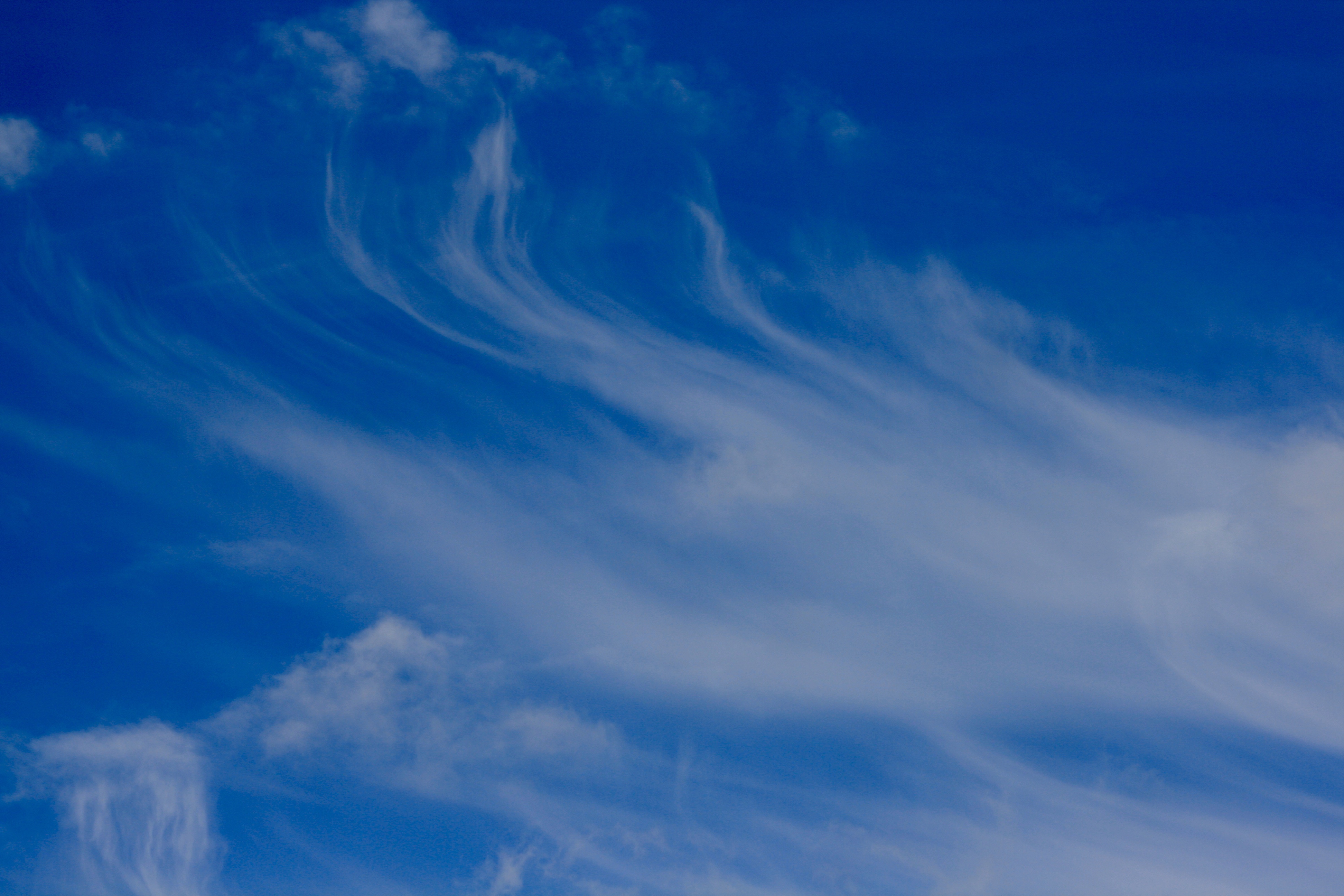 6f147517e8994b46c07558c8ad7860e6.jpg