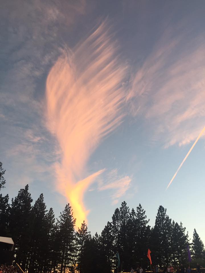 954bb4e4389c4d1041e2f5a6aa6a1ab0.jpg
