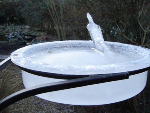 ab12d6a220643d625b1681d7714f03d7.gif