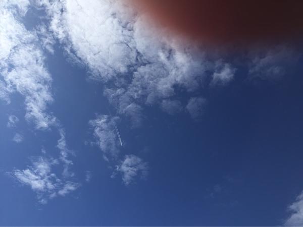 b216d2fe04955298b1d85f6799c10988.jpg