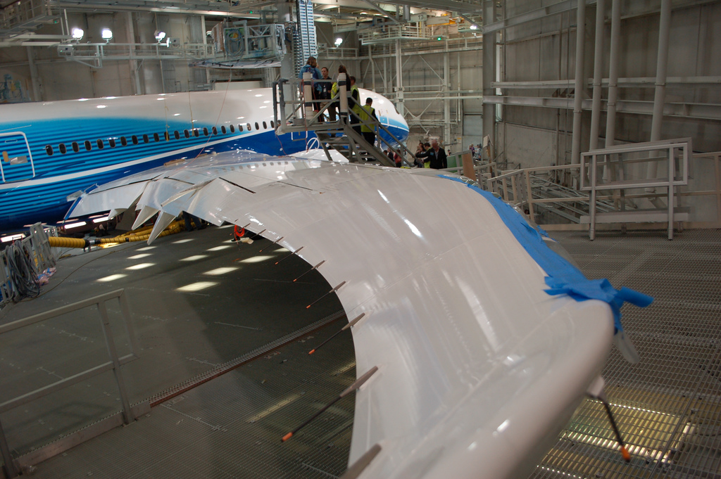 Tubelike objects on back of wing [Static Wicks, Static Dischargers