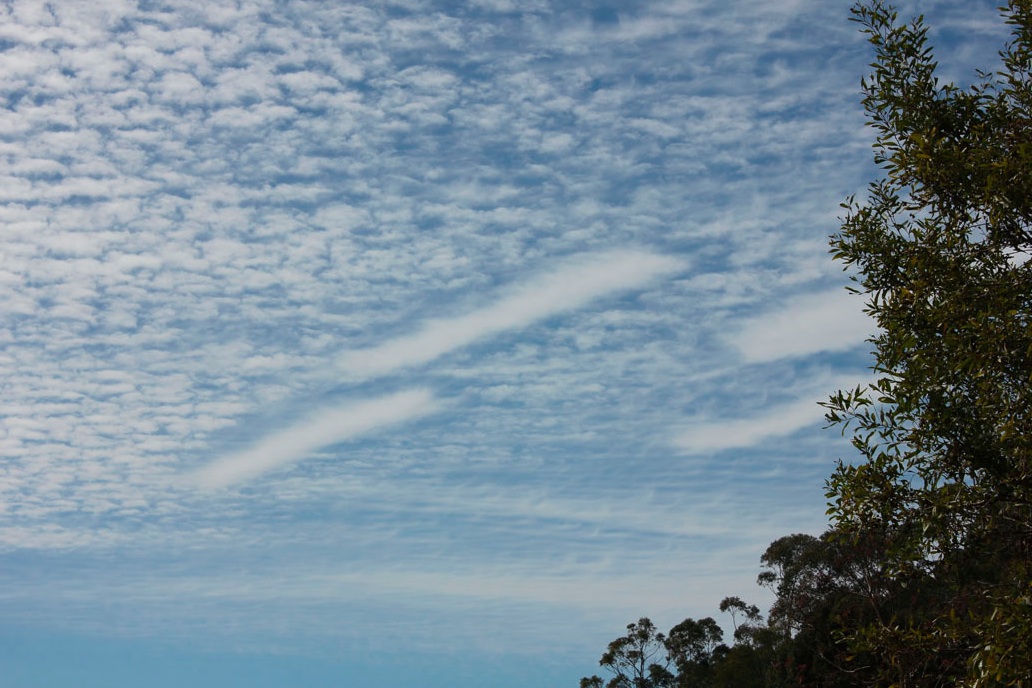 contrailscience.com_skitch_4ps.jpg___MediaFire_20121208_061026.jpg