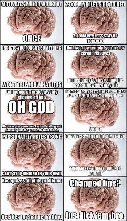 contrailscience.com_skitch_brain_20121013_070823.jpg