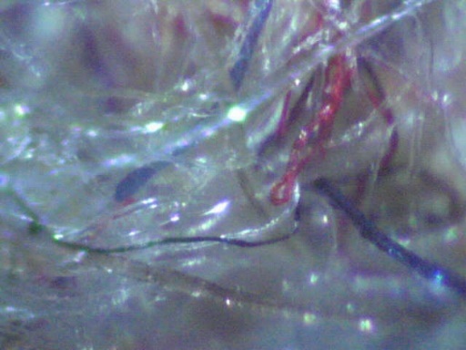 contrailscience.com_skitch_skitched_20121114_172334.jpg