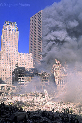 drjudywood.com_articles_dirt_pics_NYC14148.jpg