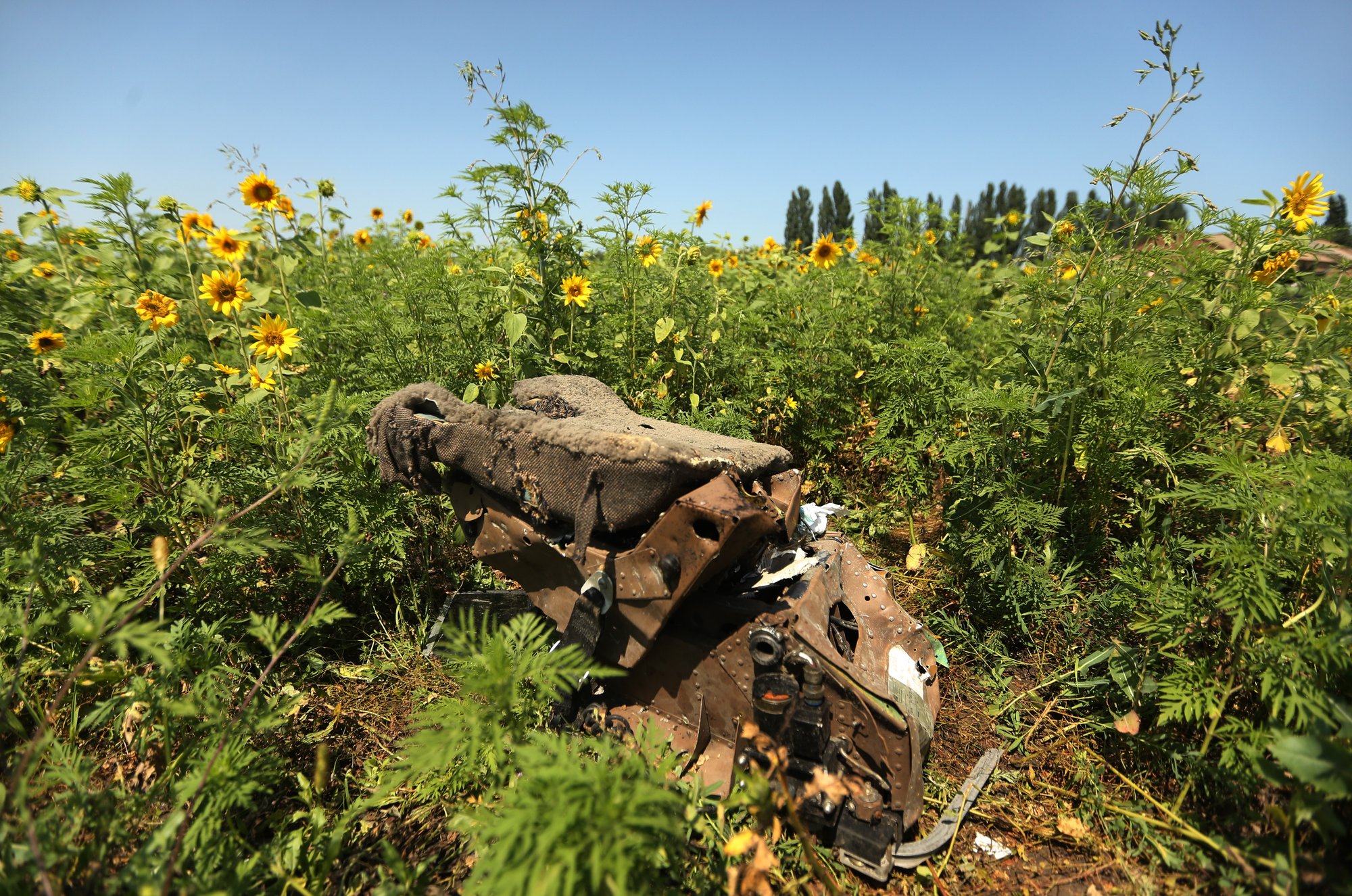 f150a644b48ffcaa4fc84f9e17325b76.jpg