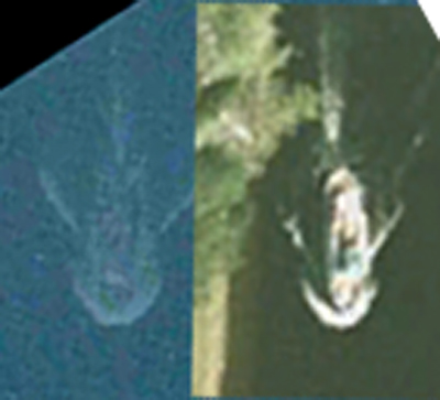 Le monstre du Loch Ness géolocalisé grâce à Apple ? F563bd4a586b63d839b8c3c1ec2ac17d