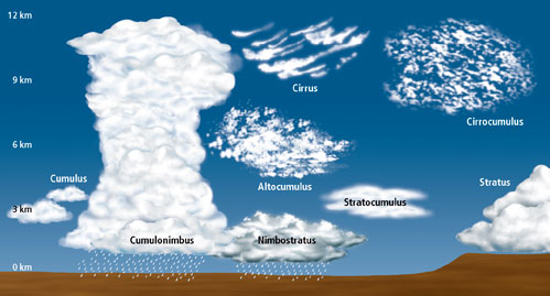 f7aab40fa4a6d19d4222e3179646decd.jpg