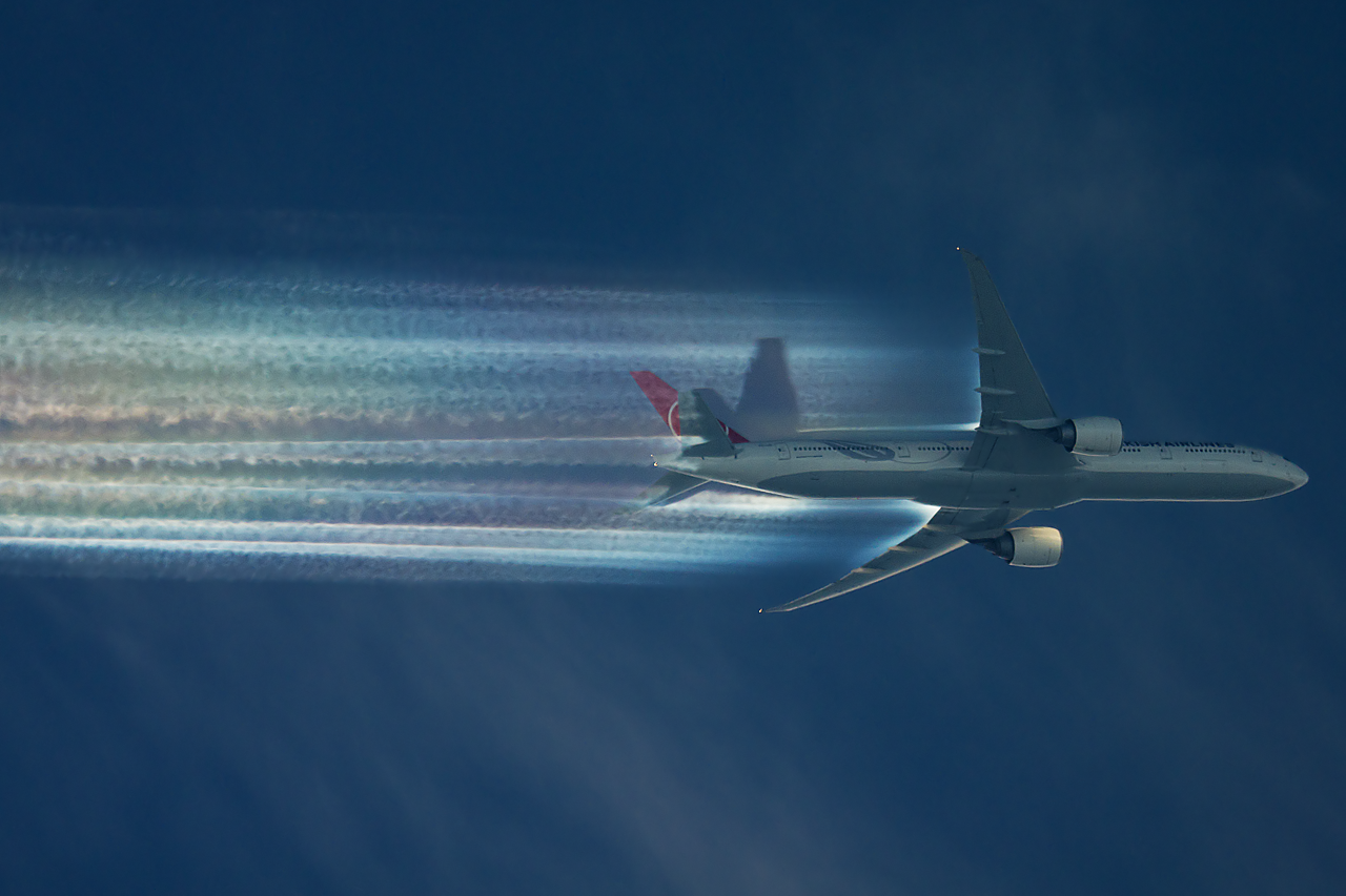 f950893ee222bf25b262d3f3dd788e67.png