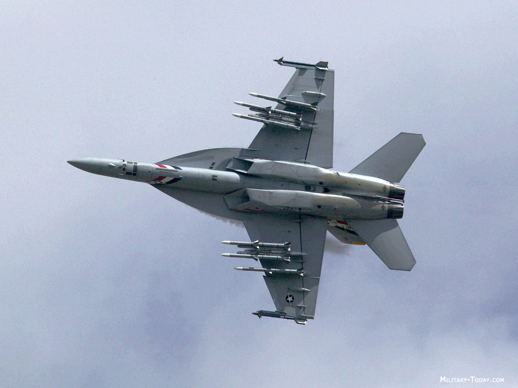 www.military_today.com_aircraft_fa_18_ef_super_hornet_l2.jpg