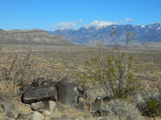 Petroglyph pic scaled.jpg