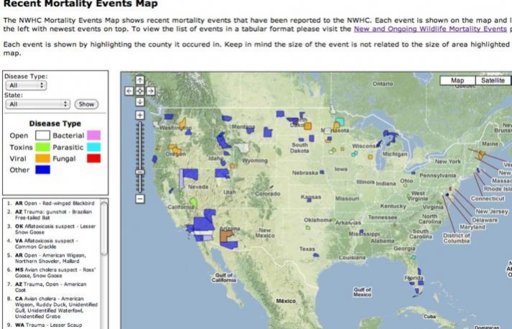 USGS_National_Wildlife_Health_Center_-_Recent_Mortality_Events_Map-20110105-124041.jpg USGS_National_Wildlife_Health_Center_-_Recent_Mortality_Events_Map-20110105-124041.jpg