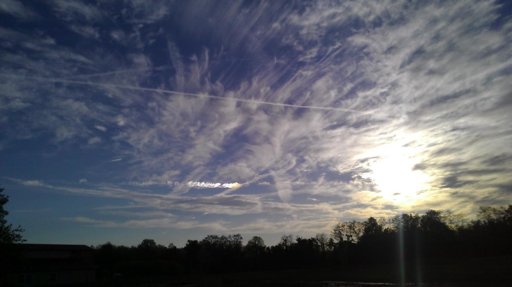 IMAG0464.jpg