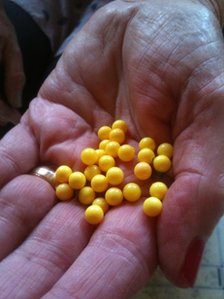 _62399561_temptinyyellowballs.jpg