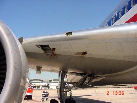 767-bird5.jpg