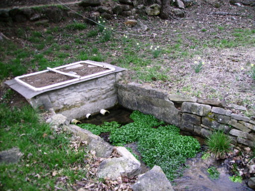 PICT0128.JPG