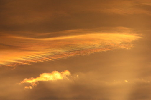Mull 2012 593.jpg