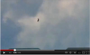 ft509e81f3.gif