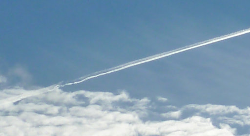 P1170294crop.jpg