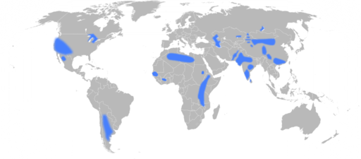 800px-Groundwater-fluoride-world.svg.png