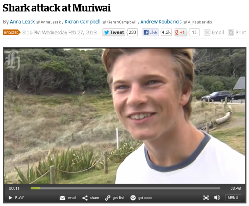 Shark attack at Muriwai   National   NZ Herald News.png