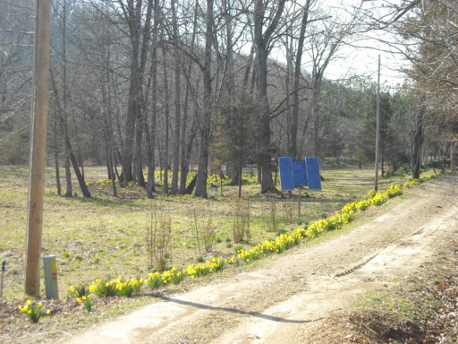 001.JPG
