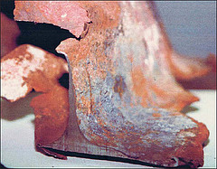 235366934_0b70ca337d_m.jpg 235366934_0b70ca337d_m.jpg