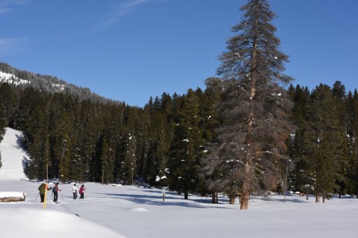 Pebble snowshoe r.jpg