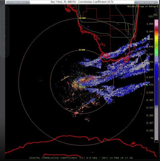 cc key west 13 feb 15.JPG